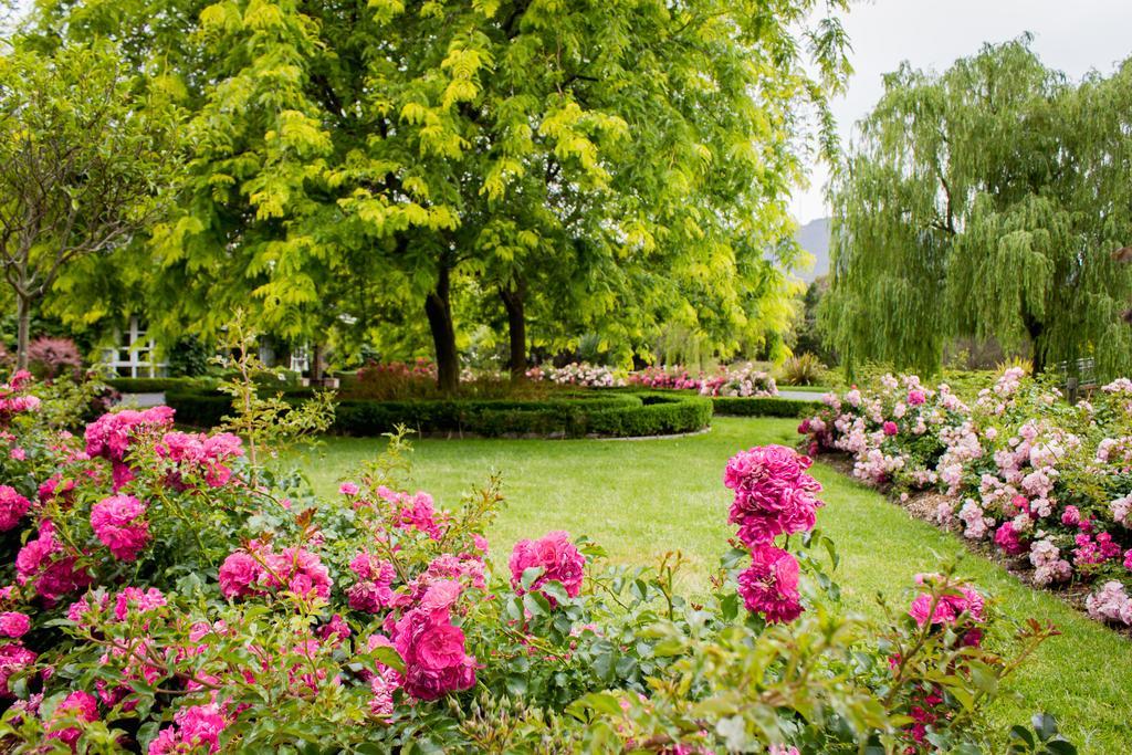 Lakeside Cottage Luxury B&B Mount Dandenong Exterior foto