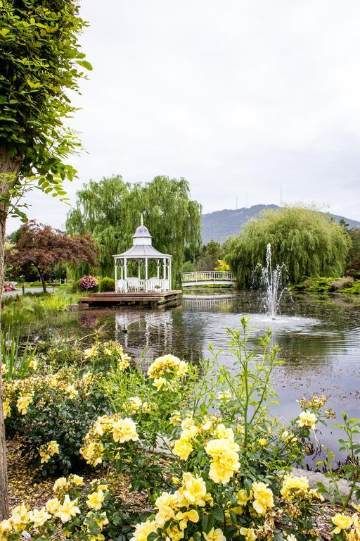 Lakeside Cottage Luxury B&B Mount Dandenong Exterior foto