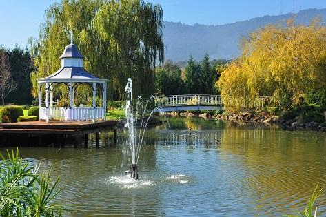 Lakeside Cottage Luxury B&B Mount Dandenong Exterior foto